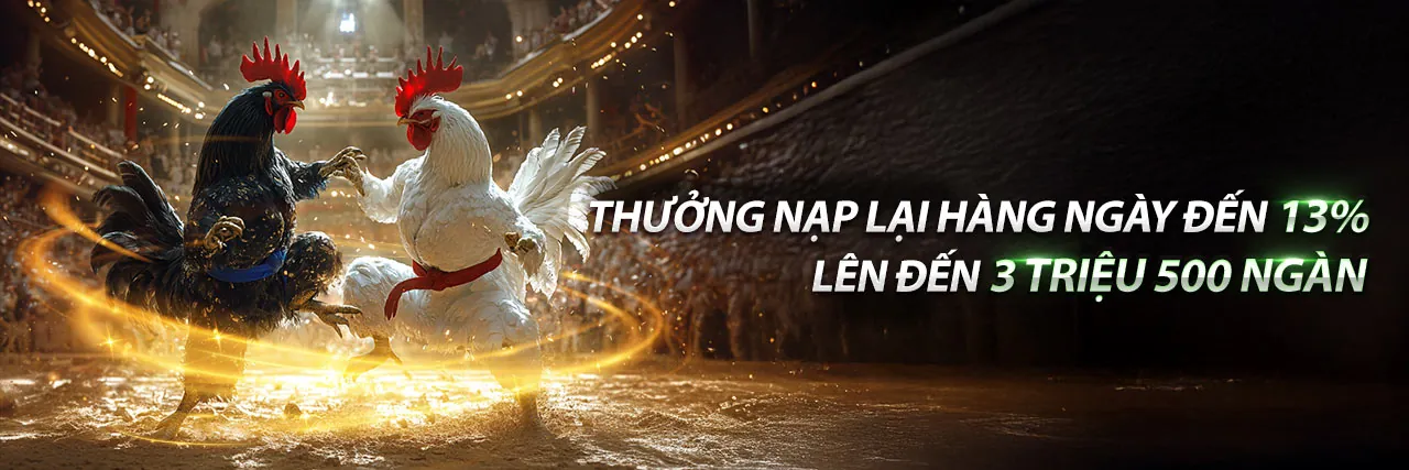 Hình ảnh tổng quan tin tức niw88 casino
