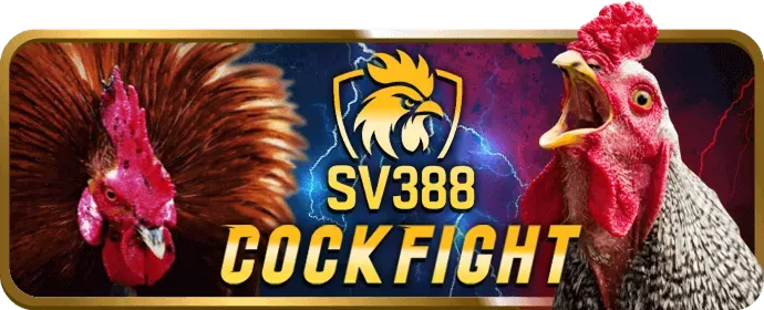 Các trò chơi niw88 casino được yêu thích