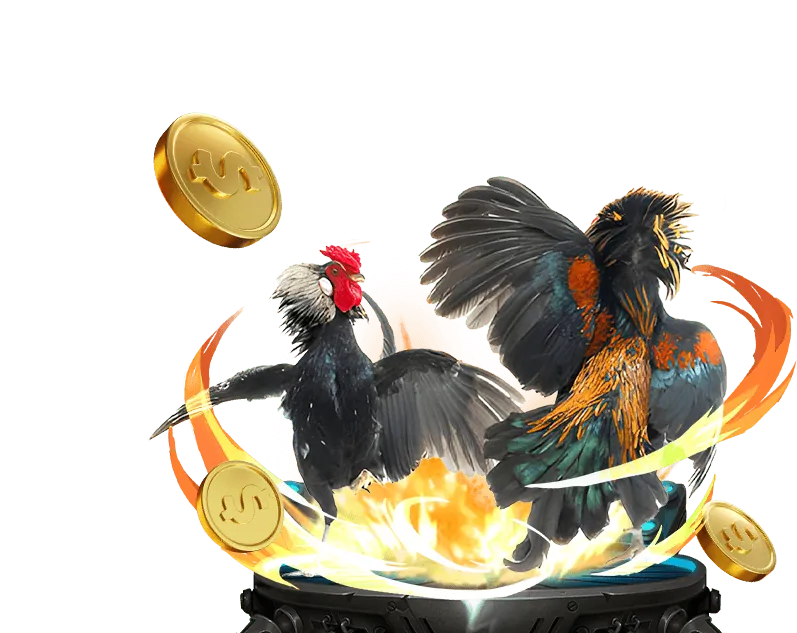 Cập nhật cá cược thể thao niw88 casino